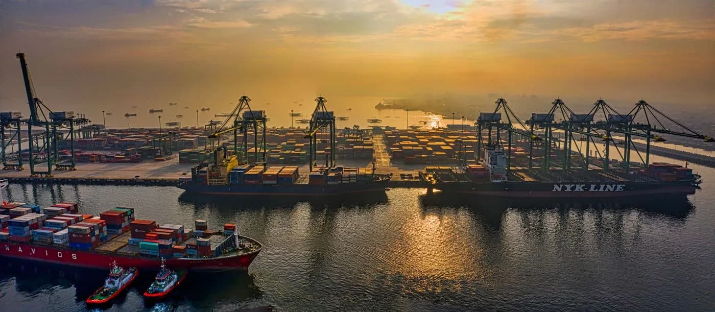 Container cranes serving a busy international trade port